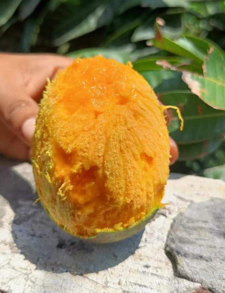 সুমিষ্ট আম