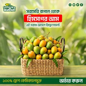 হিমসাগর আম (Himsagar Mango) - 12 KG