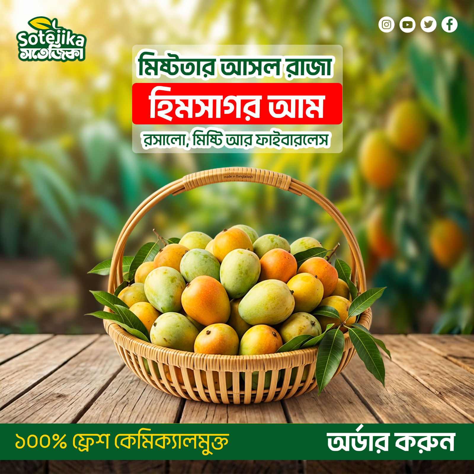 হিমসাগর আম (Himsagar Mango) - Image 2