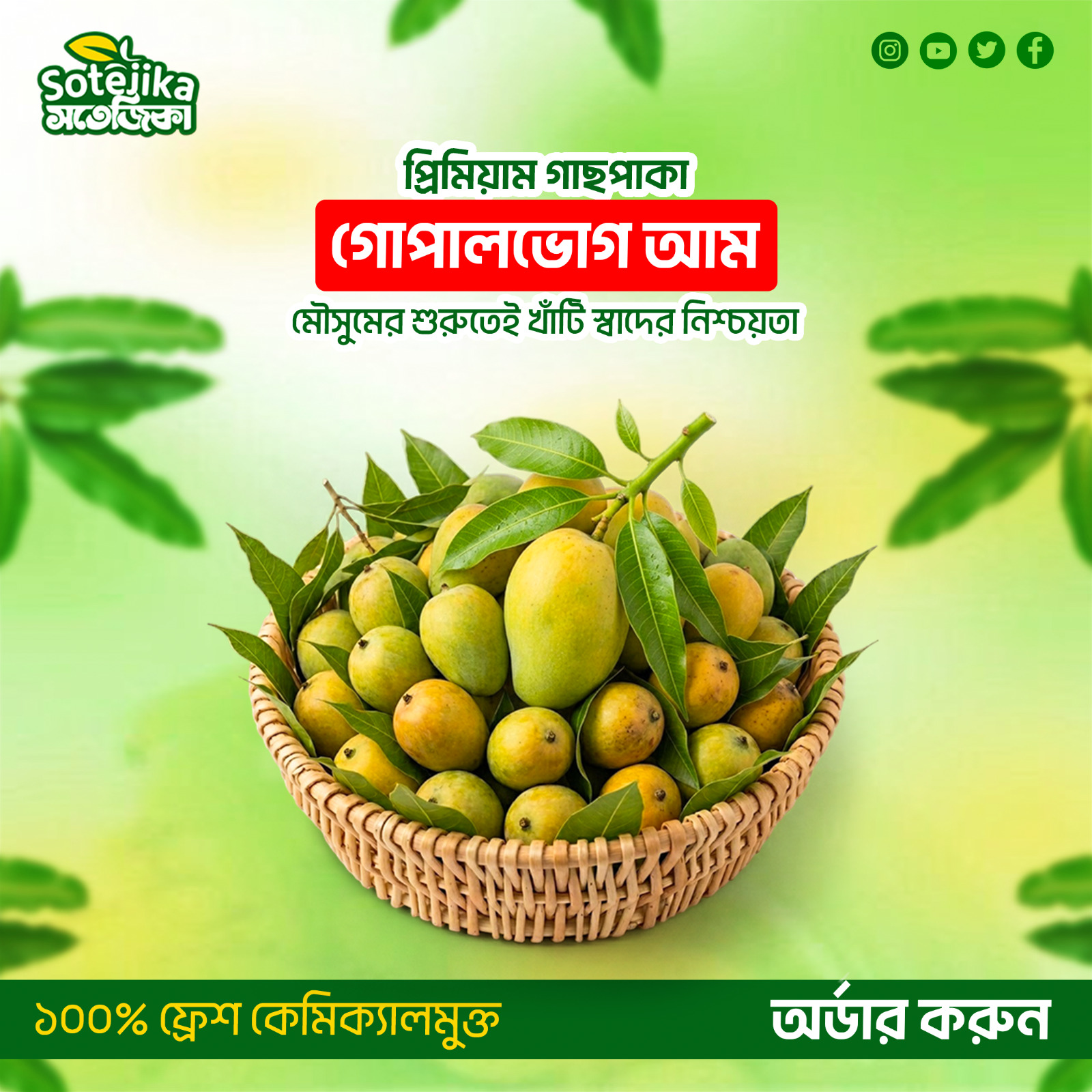 গোপালভোগ আম (Gopalbhog Mango) - Image 2