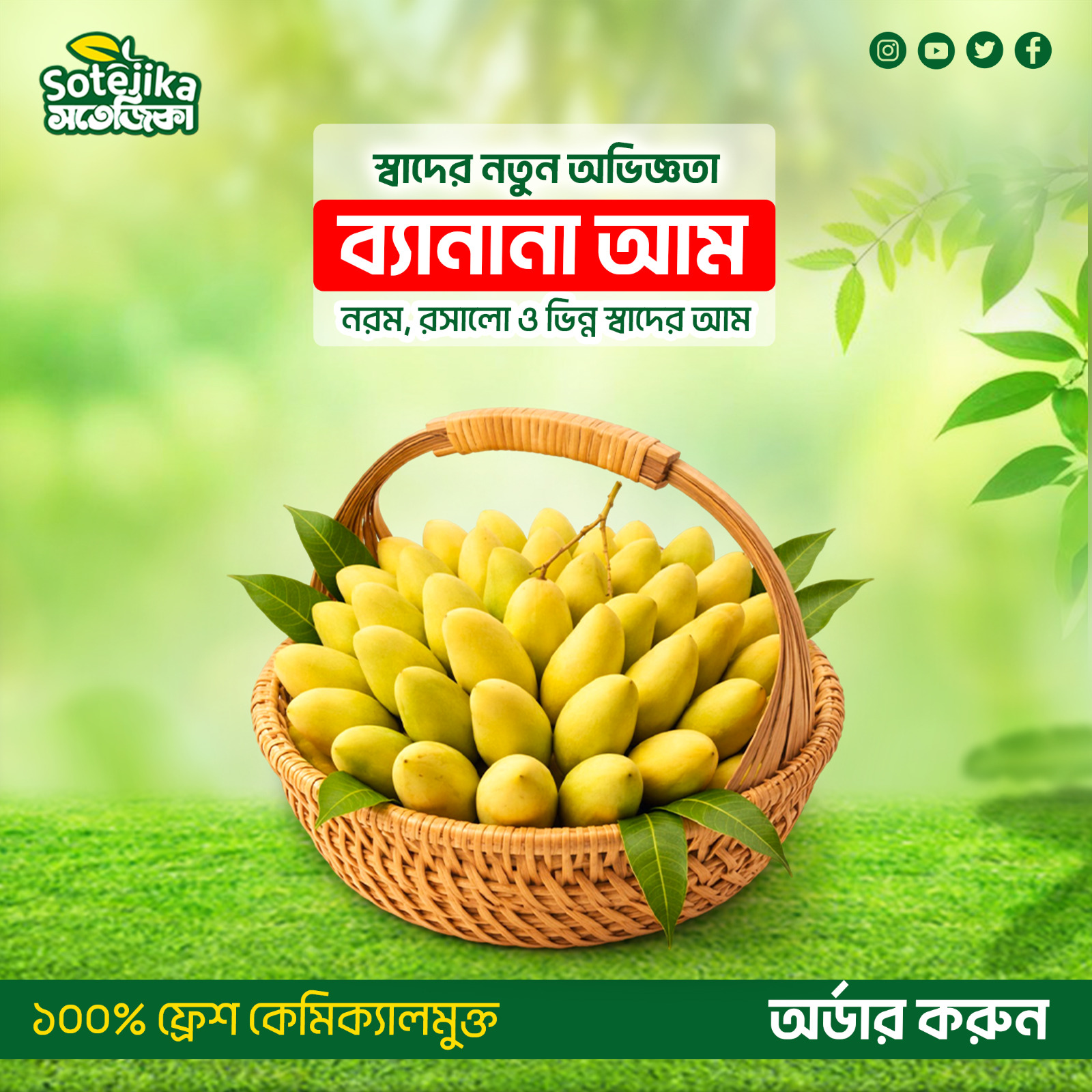 ব্যানানা ম্যাংগো (Banana Mango) - Image 2