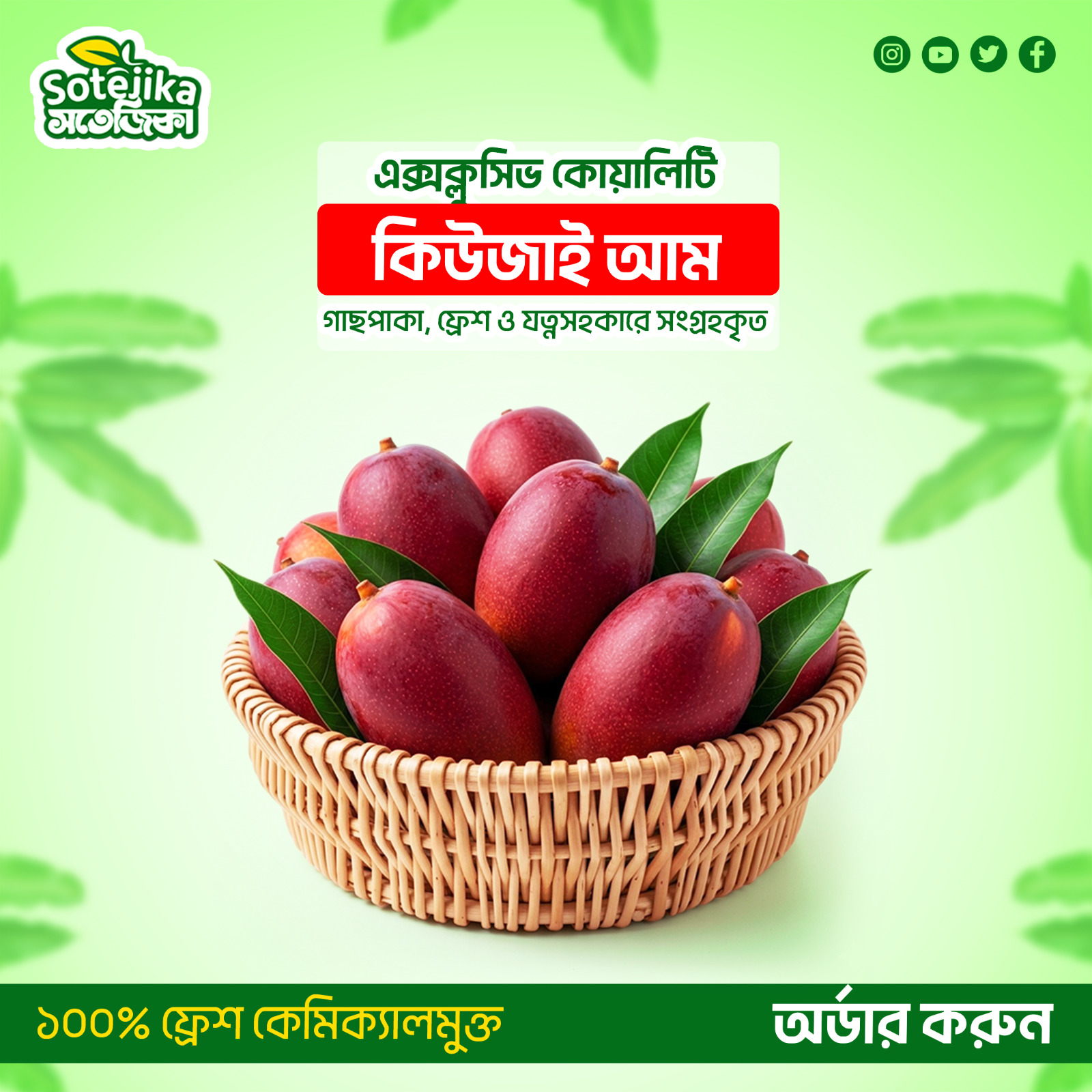 কিউজাই আম (Kiojay/Kujai Mango)
