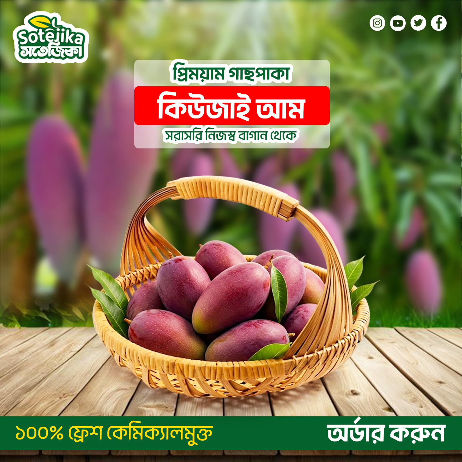 কিউজাই আম (Kiojay/Kujai Mango) - Image 2