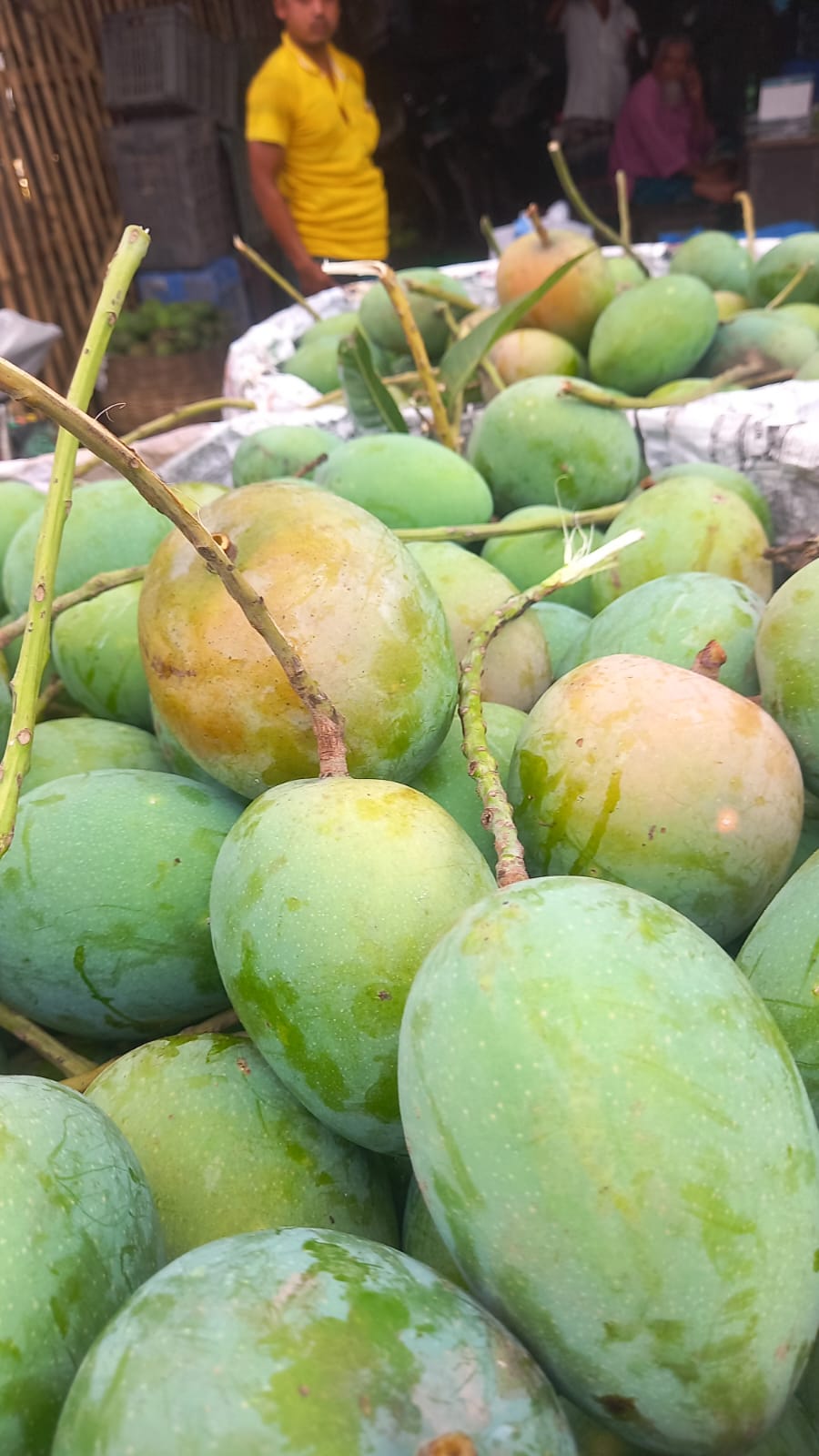 তাজা আম