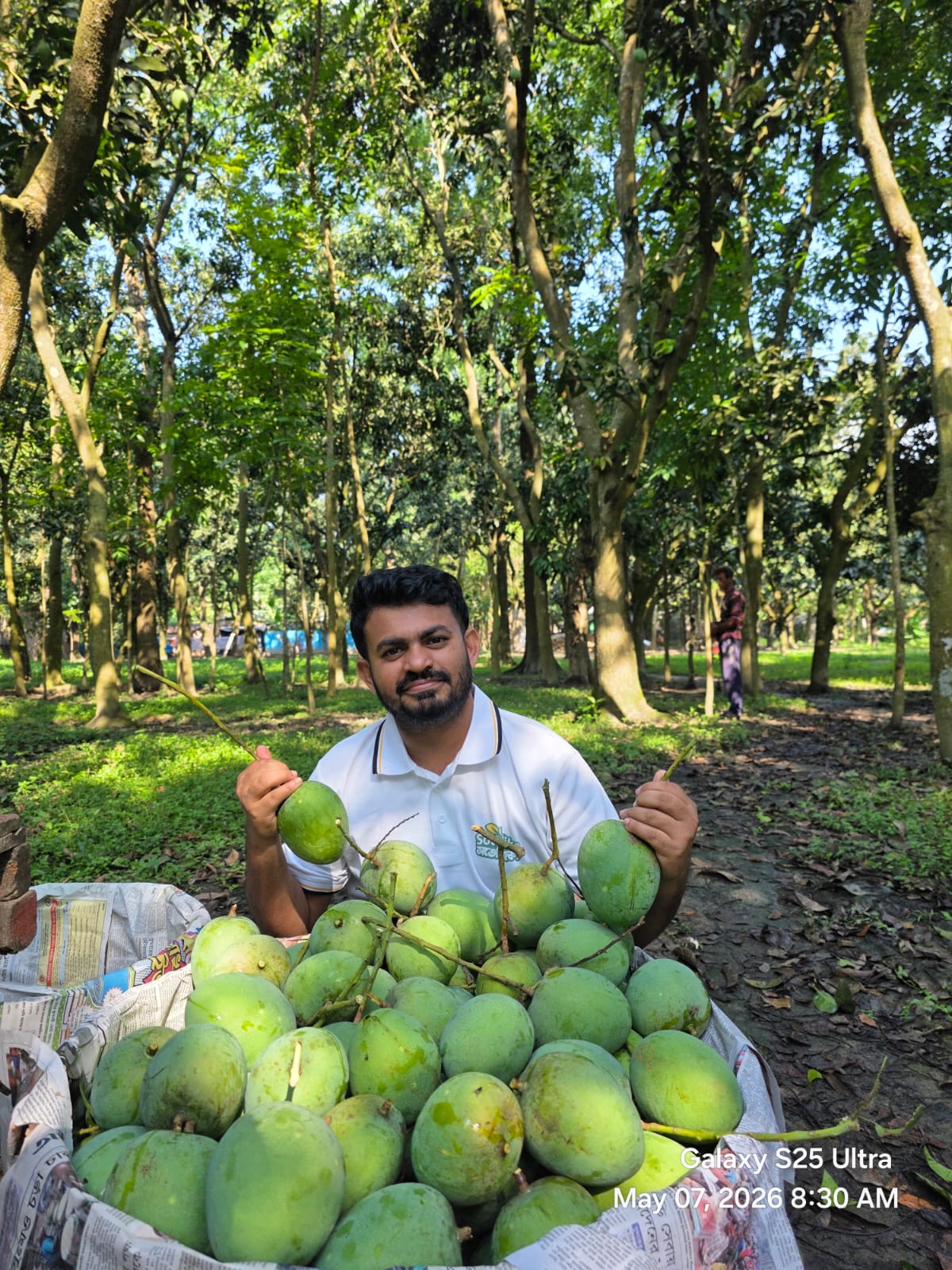 সুমিষ্ট আম