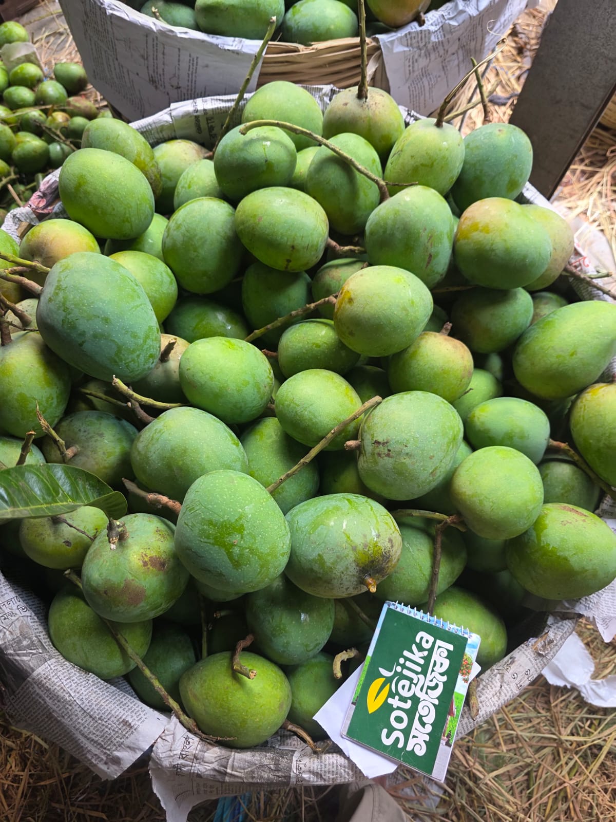 গাছের আম