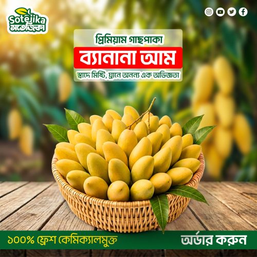 WhatsApp Image 2026-04-16 at 7.12.18 PM (1)